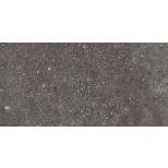 Astor Fusion darks vloertegel 10x20 1FH4