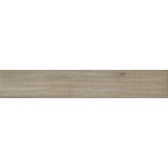 Panaria Assi D'Alpe badia plinttegel 10x60 PGRDA30